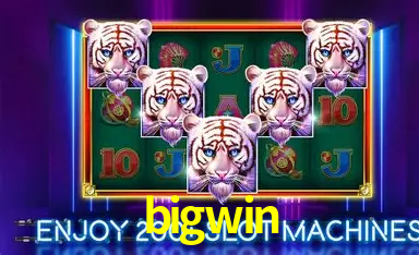 bigwin Cassino Online Certificado