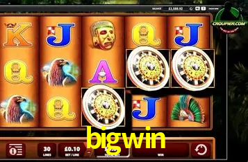 Interface Premium bigwin